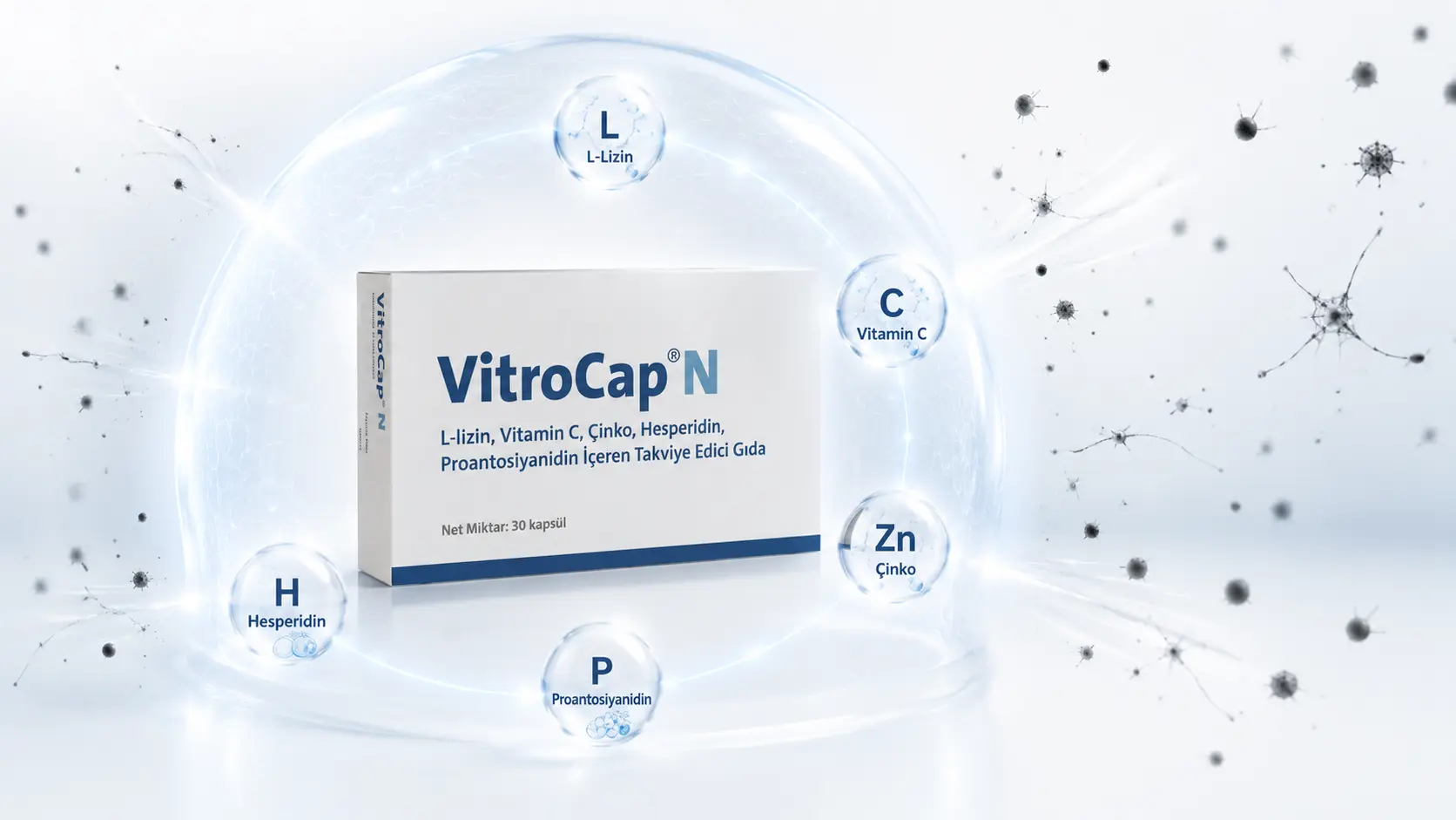 VitroCap N formülasyon ve bileşenler görseli